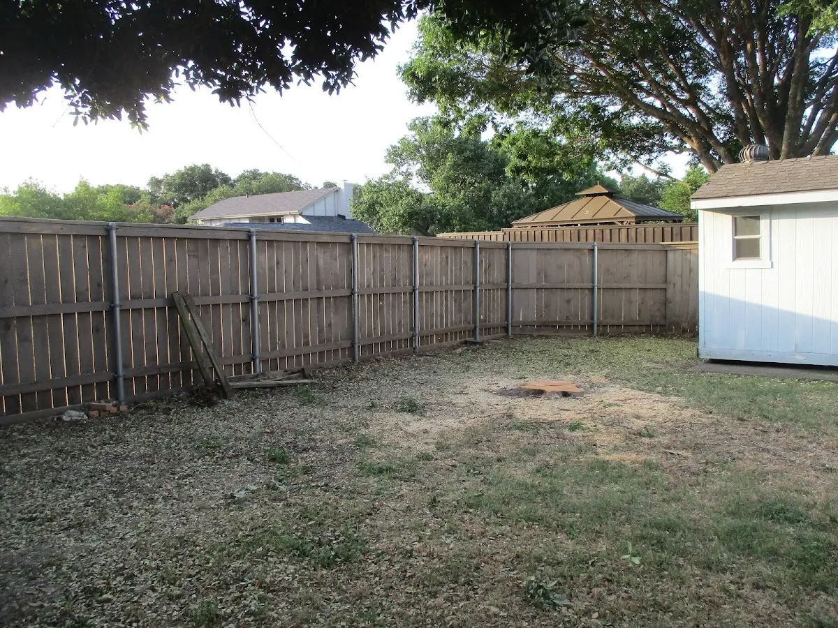 Cleared yard after professional tree removal in Griffithville